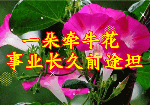 [柠檬美文]送你一曲《有钱花》！祝你天天有钱花