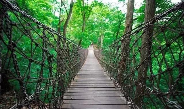 励志的娱乐■父母子女一场，只有这一世的缘分，下辈子，都不会再相见。珍惜吧