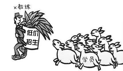 「教练宝典」学员练车的7个误区，稍不注意只会越练越差！