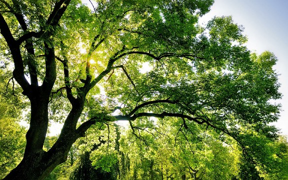 「峰扬讲情感」适合发朋友圈的早安短句，句句经典个性，送给你牵挂的人