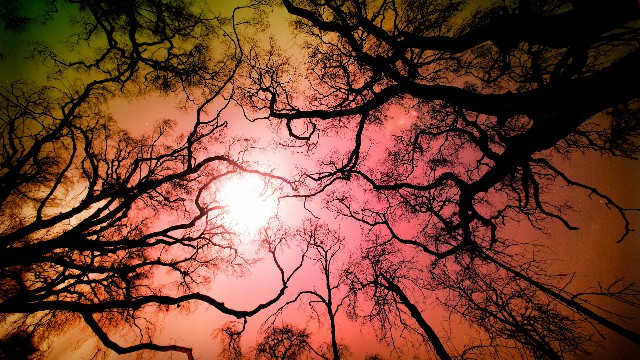 #峰扬讲情感#朋友圈努力励志的句子，精辟暖心，送给心力交瘁的你