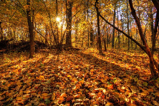 #峰扬讲情感#朋友圈努力励志的句子，精辟暖心，送给心力交瘁的你