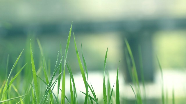 「峰扬讲情感」适合晚上发朋友圈的语录，直击人心，看懂活得更明白