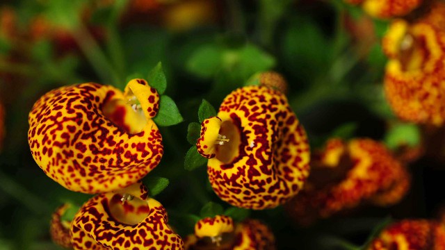 「峰扬讲情感」适合晚上发朋友圈的语录，直击人心，看懂活得更明白