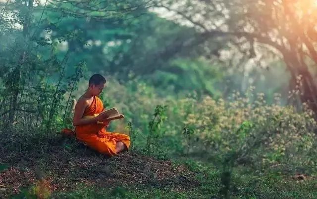 [阿弥陀佛]人在做，天在看，人不善，天会判！