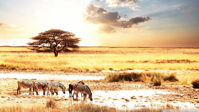 讲娱乐的本敏@微信最火的简短句子，简短又耐人寻味，读了好几遍