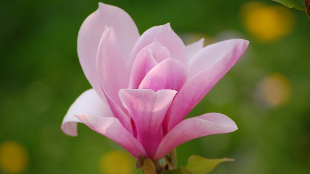 「讲娱乐的本敏」现实生活说说心情句子，积极乐观，送给孤独失眠的你