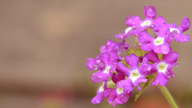 「讲娱乐的本敏」青春阳光温暖的签名，句句让人难过，让人一看就赞