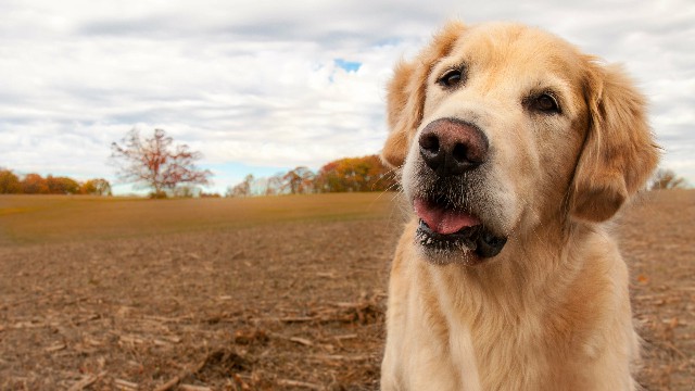 「讲娱乐的本敏」心里好压抑好想哭的句子，句句暖心感人，哪一句刺痛了你的心