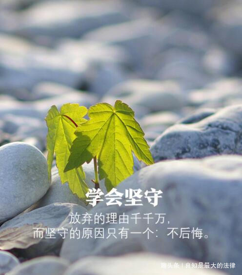 良知是最大的法律■首先热爱自己，才会招人怜爱