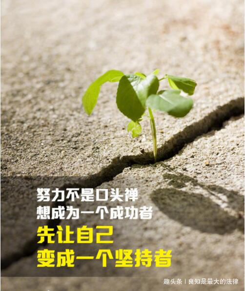 良知是最大的法律■首先热爱自己，才会招人怜爱