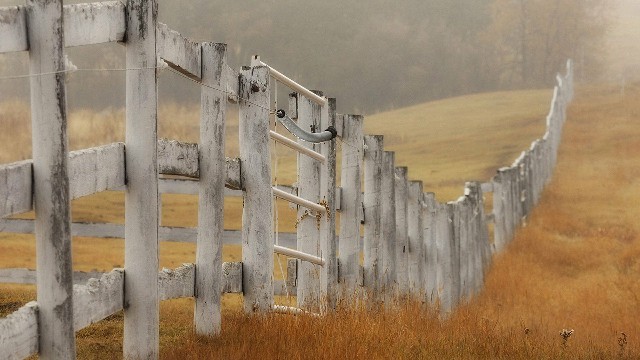 哲姝讲八卦：心里好压抑好想哭的句子，句句有料，哪一句让你感触最深