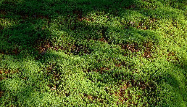 哲姝讲八卦@适合微商发的心情语录，句句暖心感人，让人看了一眼就爱上