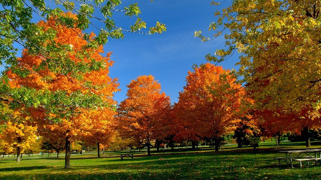 哲姝讲八卦@适合微商发的心情语录，句句暖心感人，让人看了一眼就爱上