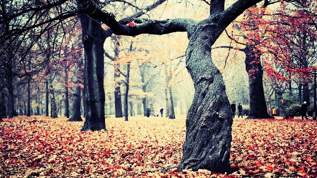 哲姝讲八卦@适合微商发的心情语录，句句暖心感人，让人看了一眼就爱上