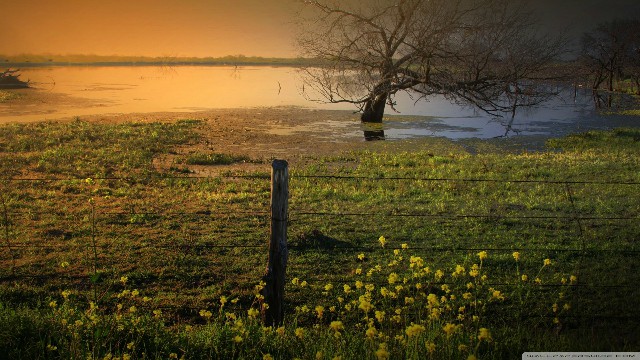 哲姝讲八卦@朋友圈努力励志的句子，句句让人难过，总有一句说到你心坎里