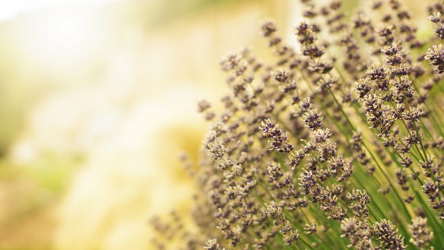 哲姝讲八卦@朋友圈努力励志的句子，句句让人难过，总有一句说到你心坎里