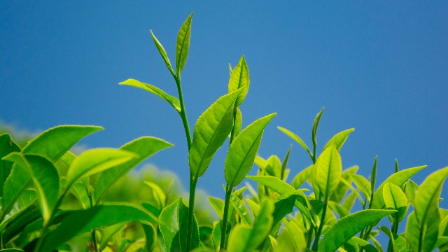 #哲姝讲八卦#这些句子说给女生听，句句大实话，让人一眼就惊艳