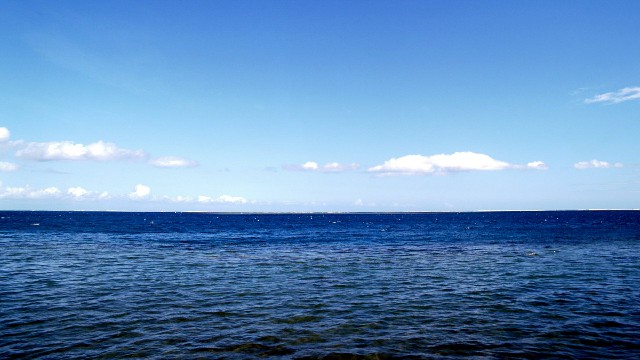 【跑步好吧】人生感悟唯美的句子，直击人心，看完受益良多