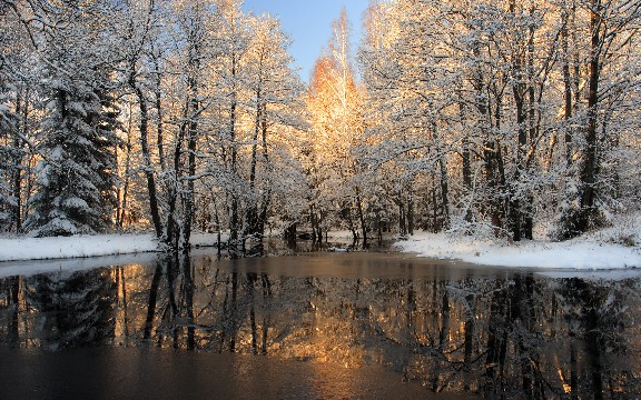 【跑步好吧】人生感悟唯美的句子，直击人心，看完受益良多