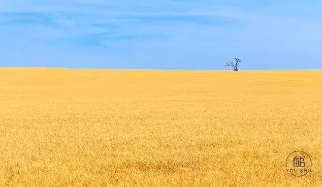 有书@30岁之后，要远离这4种圈子