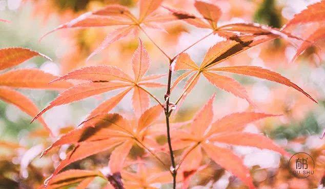 有书@30岁之后，要远离这4种圈子