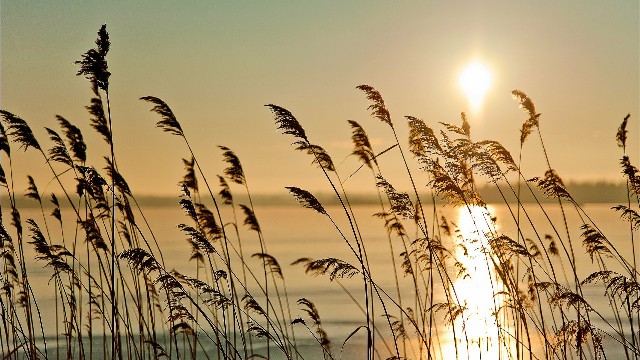 #猫咪咪谈娱乐#女生坚强到心酸的说说，句句痛彻心扉心，送给正消极的你