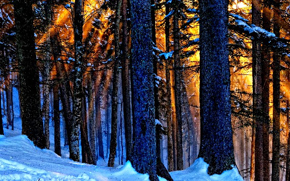 #猫咪咪谈娱乐#女生坚强到心酸的说说，句句痛彻心扉心，送给正消极的你