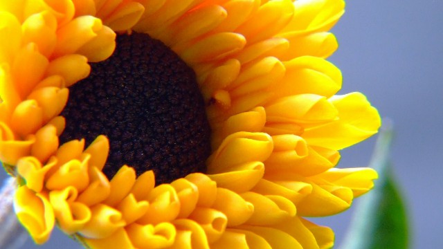 #猫咪咪谈娱乐#女生坚强到心酸的说说，句句痛彻心扉心，送给正消极的你