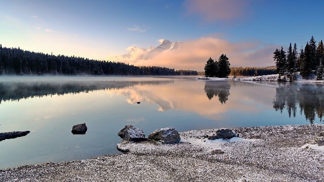 #猫咪咪谈娱乐#女生坚强到心酸的说说，句句痛彻心扉心，送给正消极的你