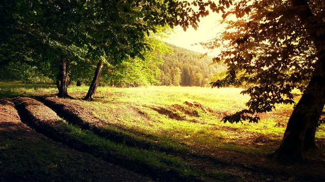 #猫咪咪谈娱乐#女生坚强到心酸的说说，句句痛彻心扉心，送给正消极的你