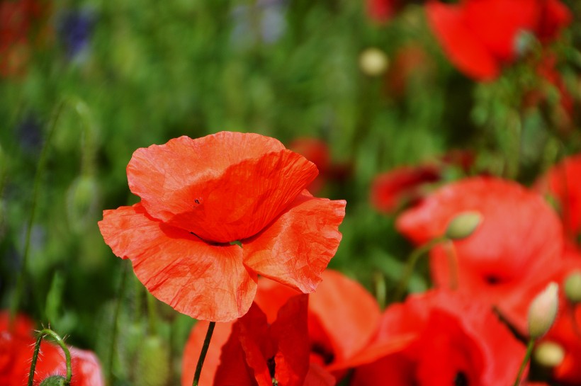 [科技的沉默]最不懂女人心的三生肖男，经常和恋人计较，吵架冷战不间断