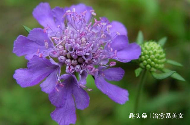 [治愈系美女]关于情感的短句子,简短精辟,是受用终生的哲理佳句