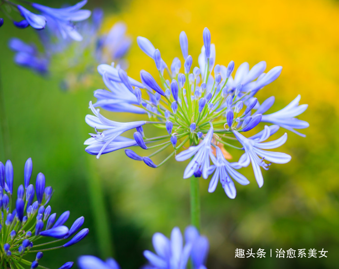 [治愈系美女]关于情感的短句子,简短精辟,是受用终生的哲理佳句