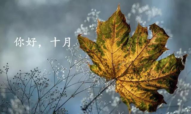 【文思泉涌】人重累人，心重累心，做人要放轻松，10月，早安