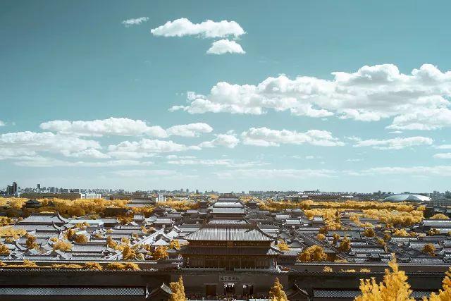 「美文鉴赏」17个定律加8个故事，胜读十年书