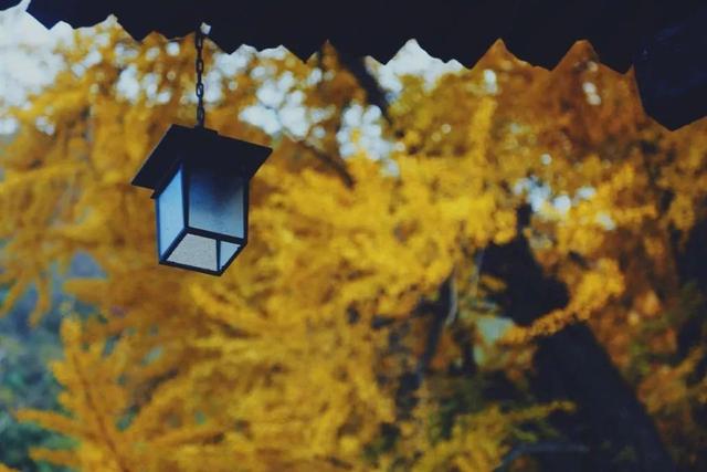 「美文鉴赏」17个定律加8个故事，胜读十年书