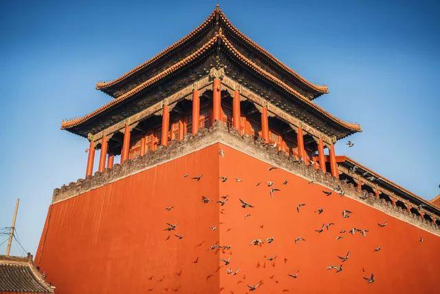 「美文鉴赏」17个定律加8个故事，胜读十年书