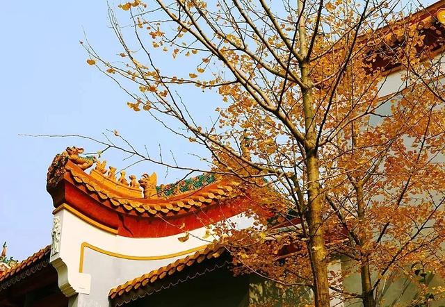 「美文鉴赏」17个定律加8个故事，胜读十年书