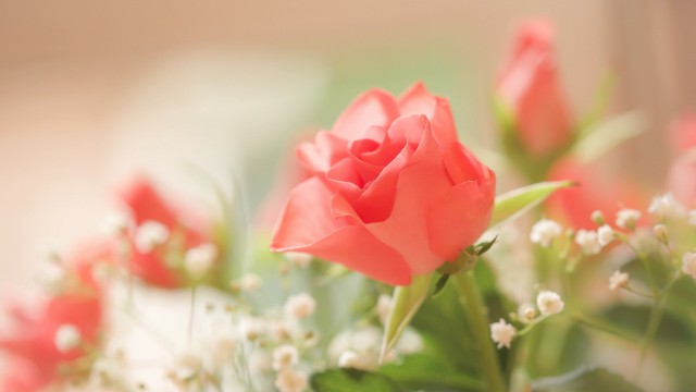 娱中兴：致追梦路上的自己一句话，简短洋气，送给心力交瘁的你