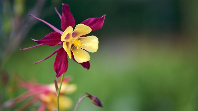 娱中兴：深入人心的经典说说，积极乐观，送给被情所伤的你