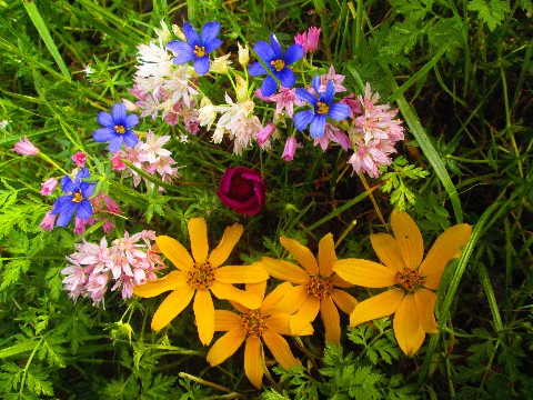 #娱中兴#让人心静的心灵鸡汤短句，句句让人难过，读完让人泪目