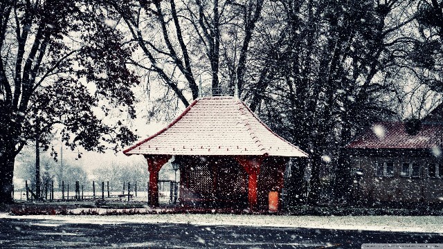 #娱中兴#让人心静的心灵鸡汤短句，句句让人难过，读完让人泪目