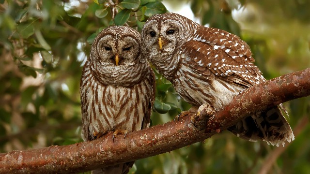 娱中兴：女生坚强到心酸的说说，句句说出心里话，让人一眼就惊艳