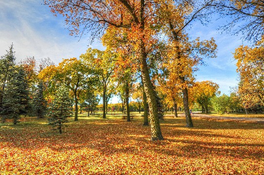 #娱中兴#这些句子说给女生听，直击人心，送给深夜无眠的你