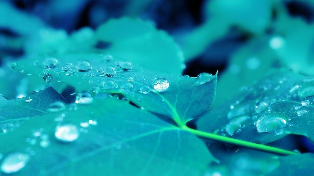 #娱中兴#这些句子说给女生听，直击人心，送给深夜无眠的你