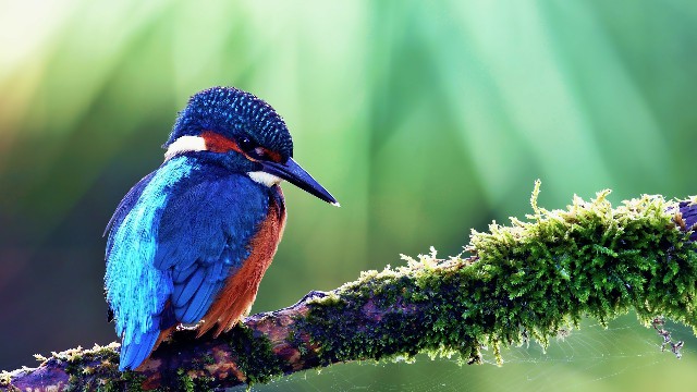 #娱中兴#这些句子说给女生听，直击人心，送给深夜无眠的你