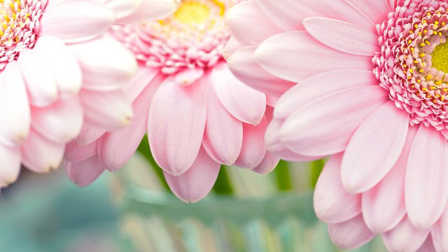 #娱中兴#这些句子说给女生听，直击人心，送给深夜无眠的你