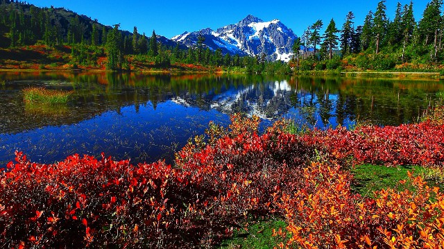 娱中兴@几句很个性的签名句子，唯美煽情，送给心力交瘁的你