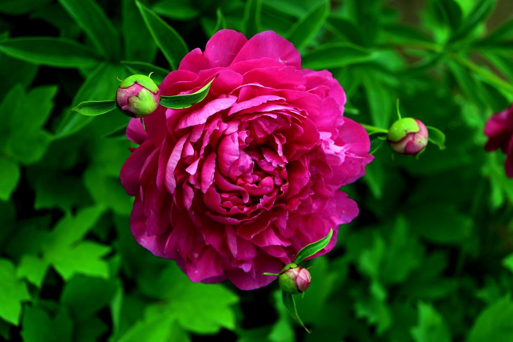 「冰山一角的趣味」时刻告诉自己，我很重要